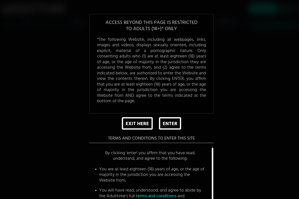 AdultTime VR homepage as it appeared during testing