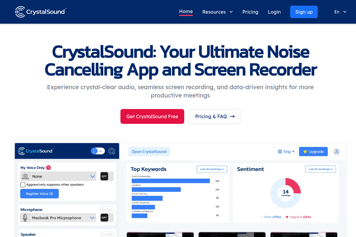 Screenshot of the CrystalSound website