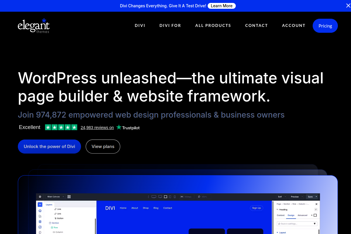 Screenshot of the Divi AI website