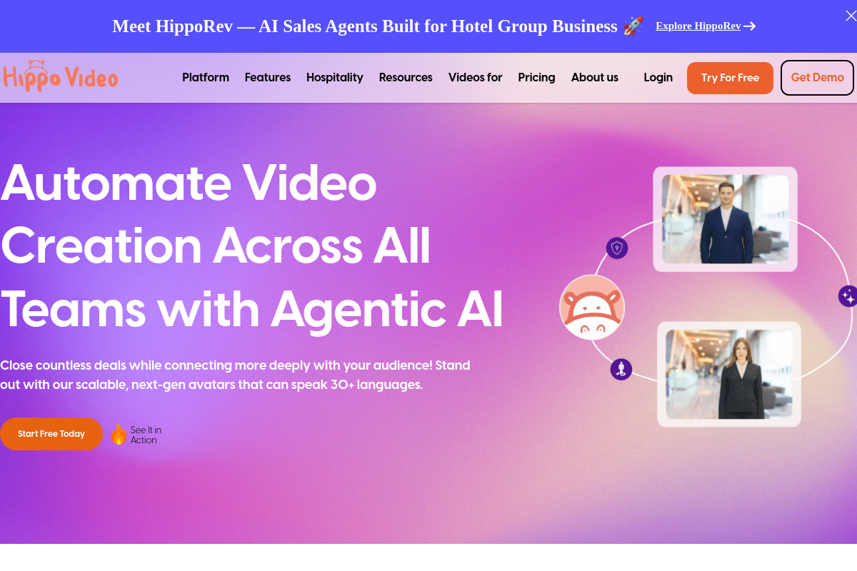 Screenshot of the Hippo Video website