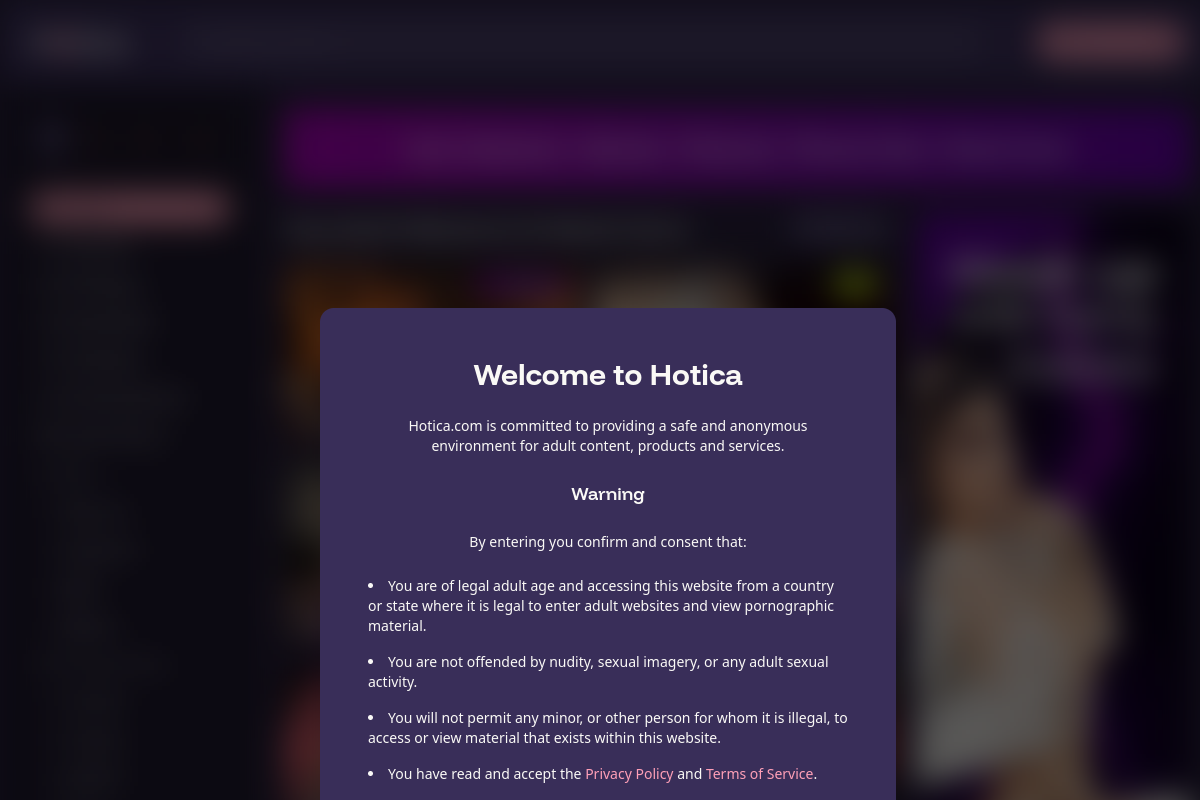 Hotica homepage as it appeared during testing