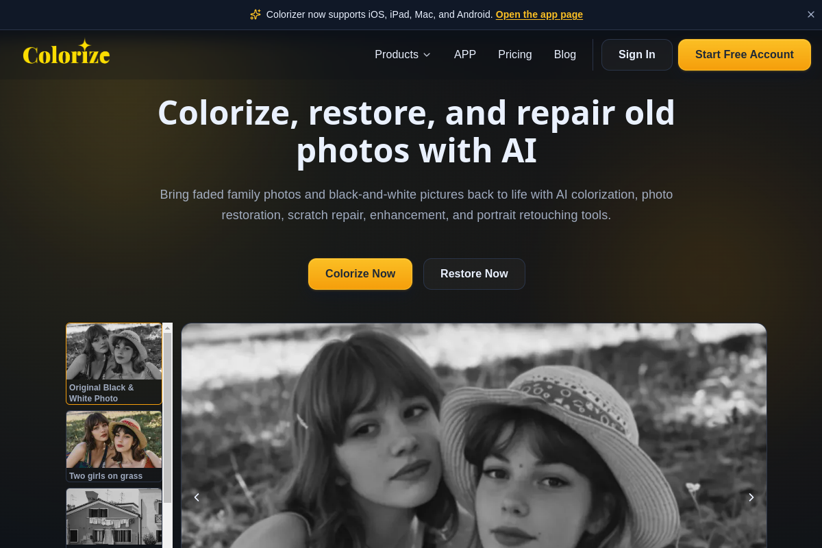 Screenshot of the ImageColorizer website
