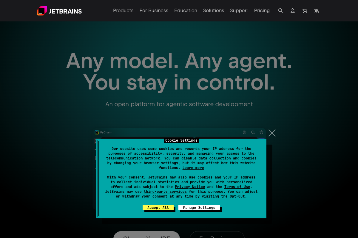 Screenshot of the JetBrains website