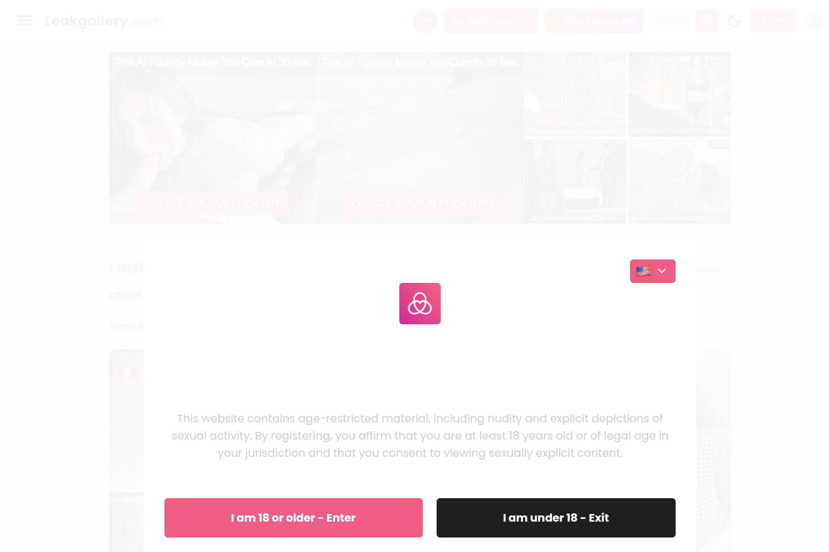LeakGallery homepage as it appeared during testing