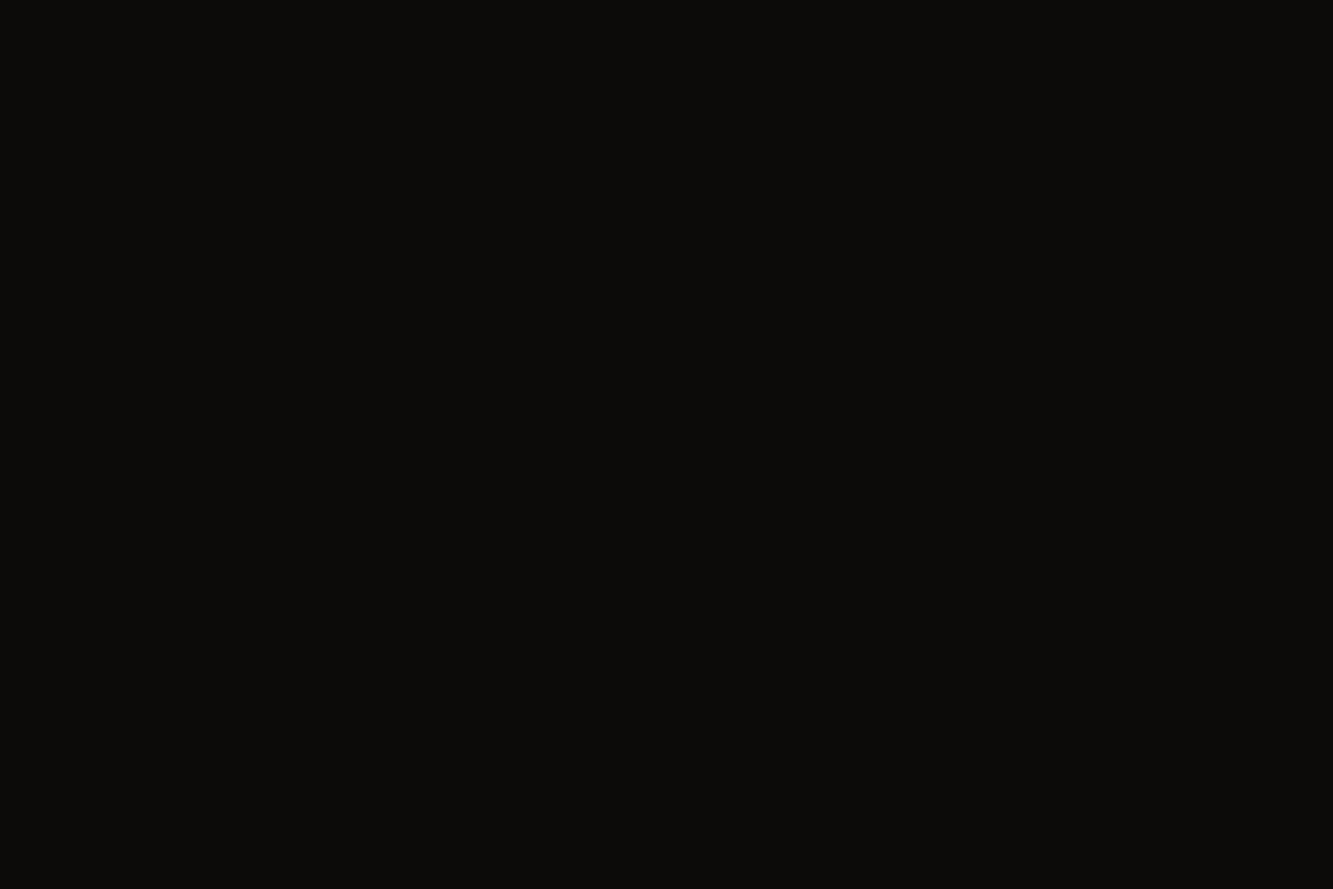 LeaksHaven homepage as it appeared during testing