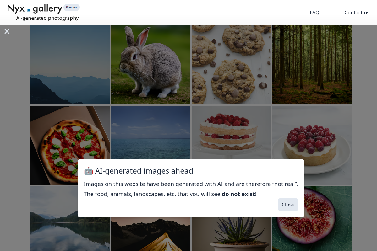Screenshot of the Nyx Gallery website