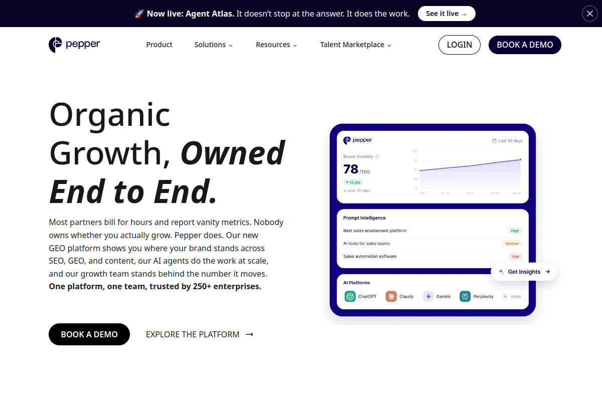 Screenshot of the Peppertype.ai website