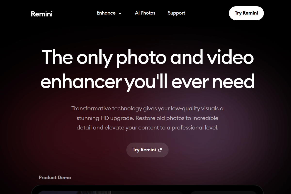 Screenshot of the Remini website