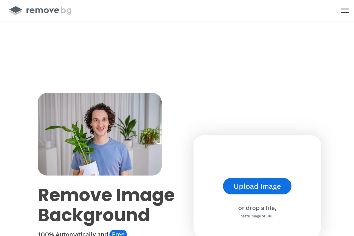 Screenshot of the remove.bg website
