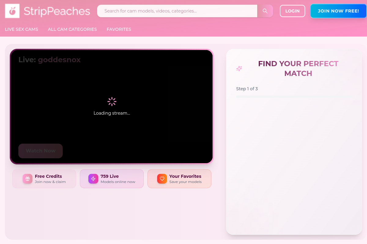 StripPeaches homepage as it appeared during testing