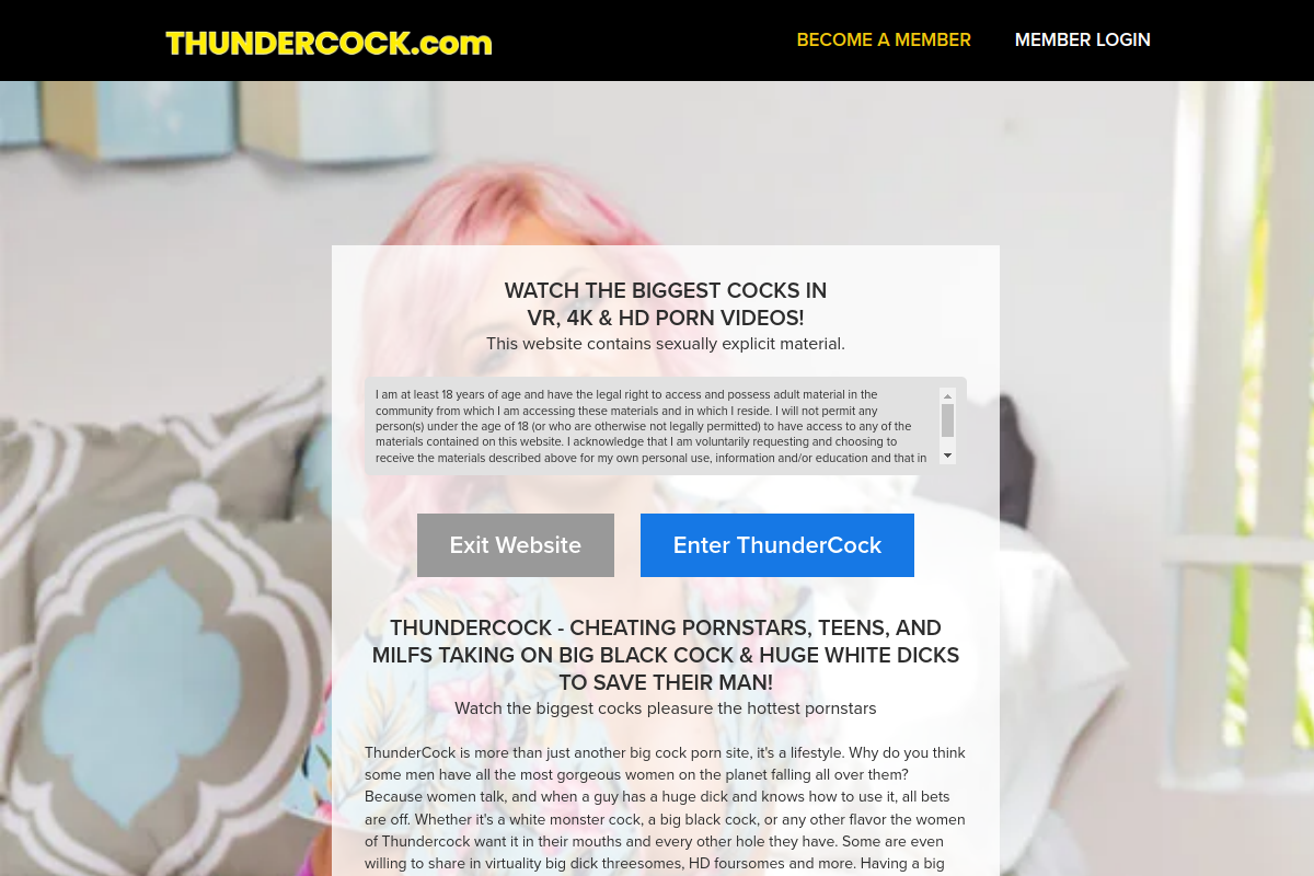 ThunderCock homepage as it appeared during testing