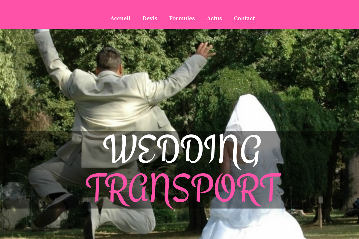 wedding-transport