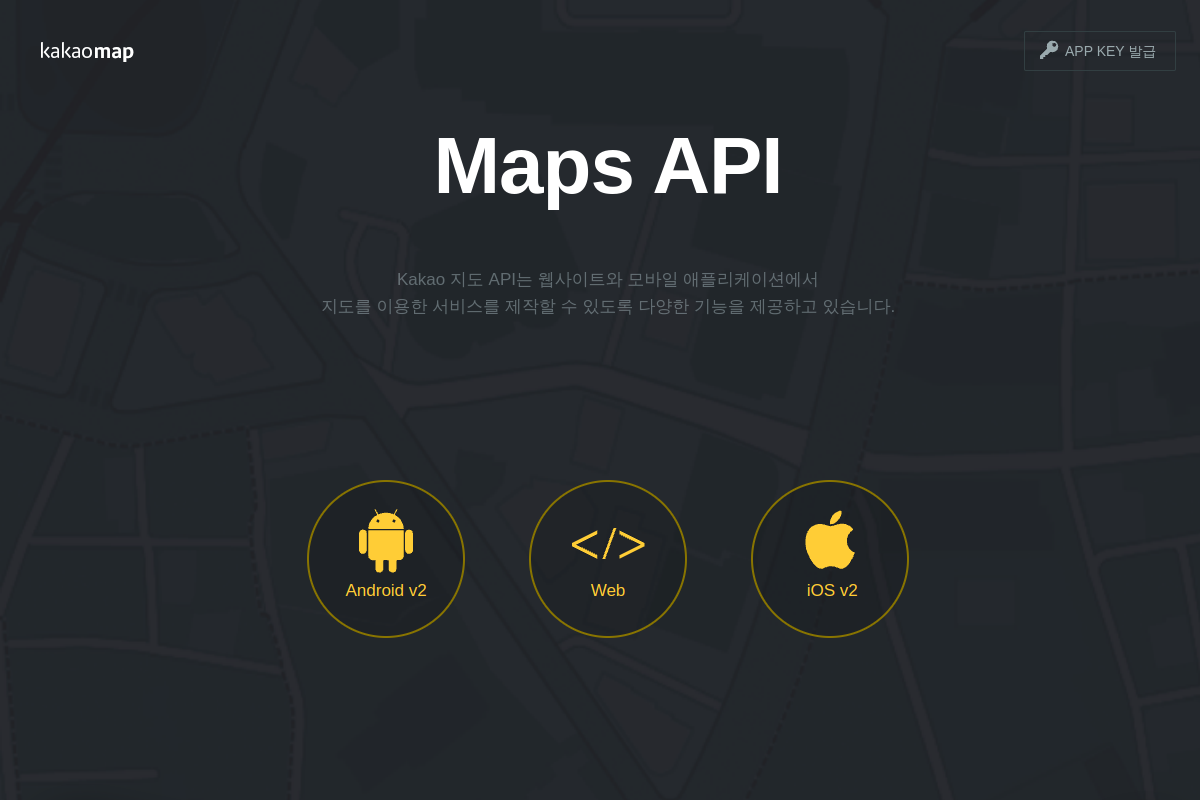 Kakao Maps preview