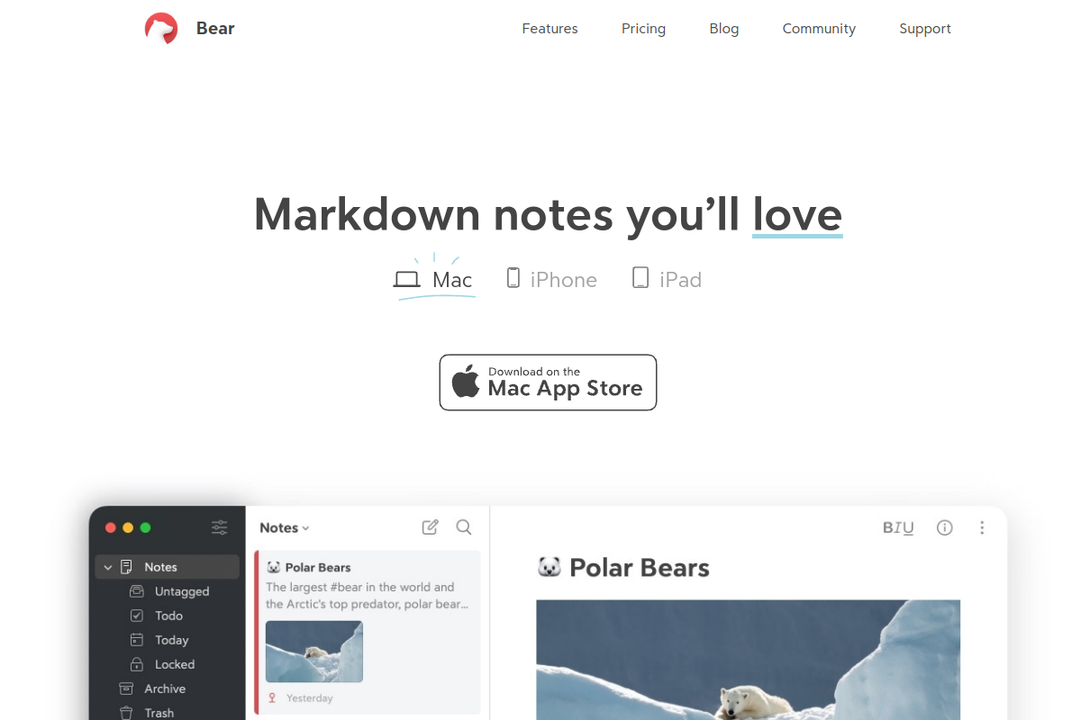Bear screenshot
