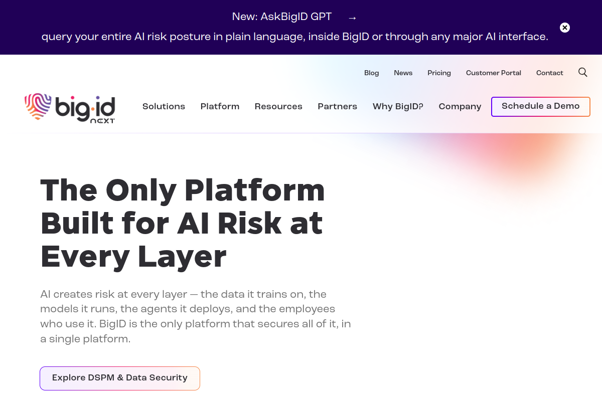 BigID screenshot