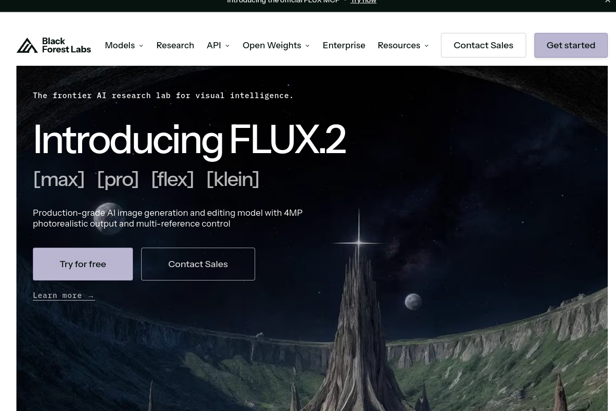 FLUX (Black Forest Labs) screenshot