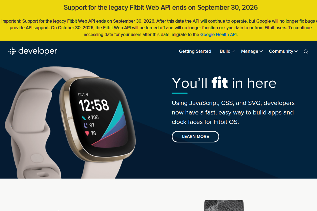 Fitbit preview