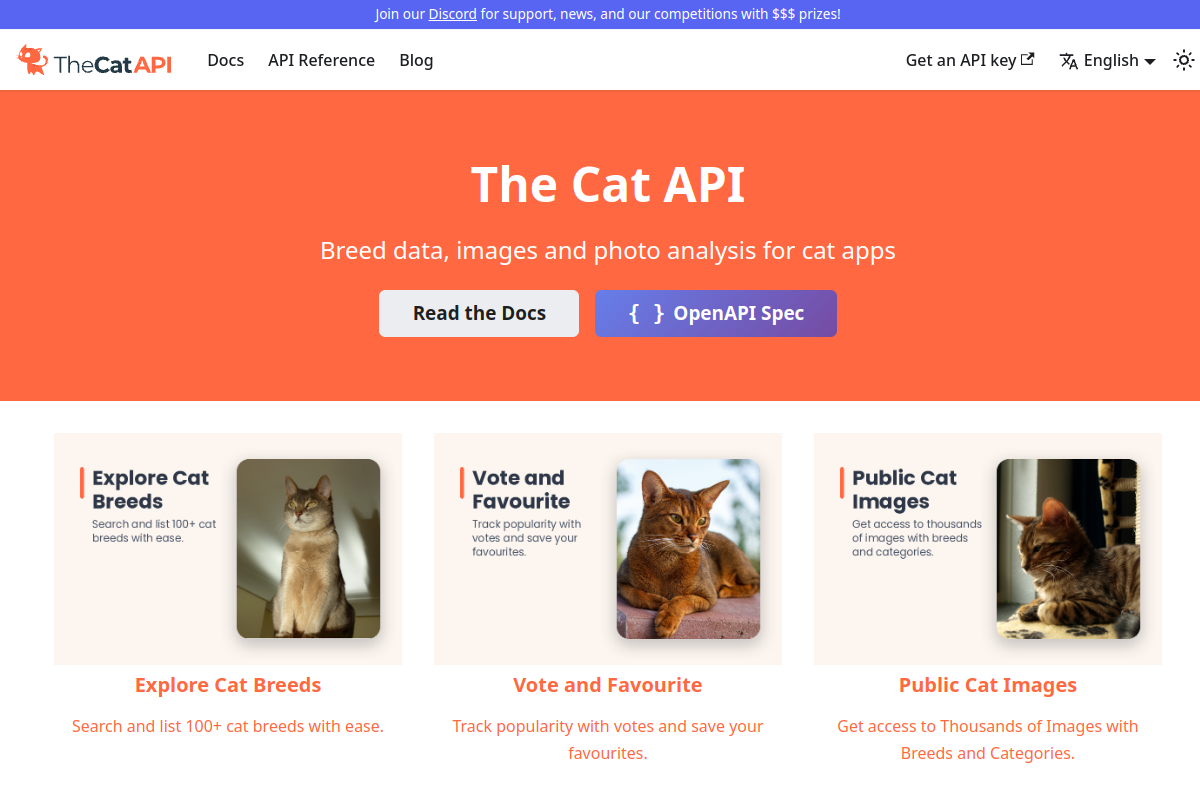 Cats preview