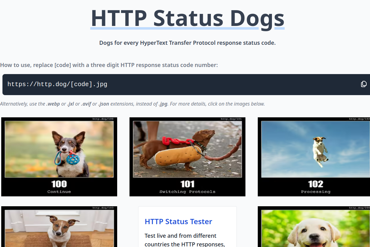 HTTP Dog preview