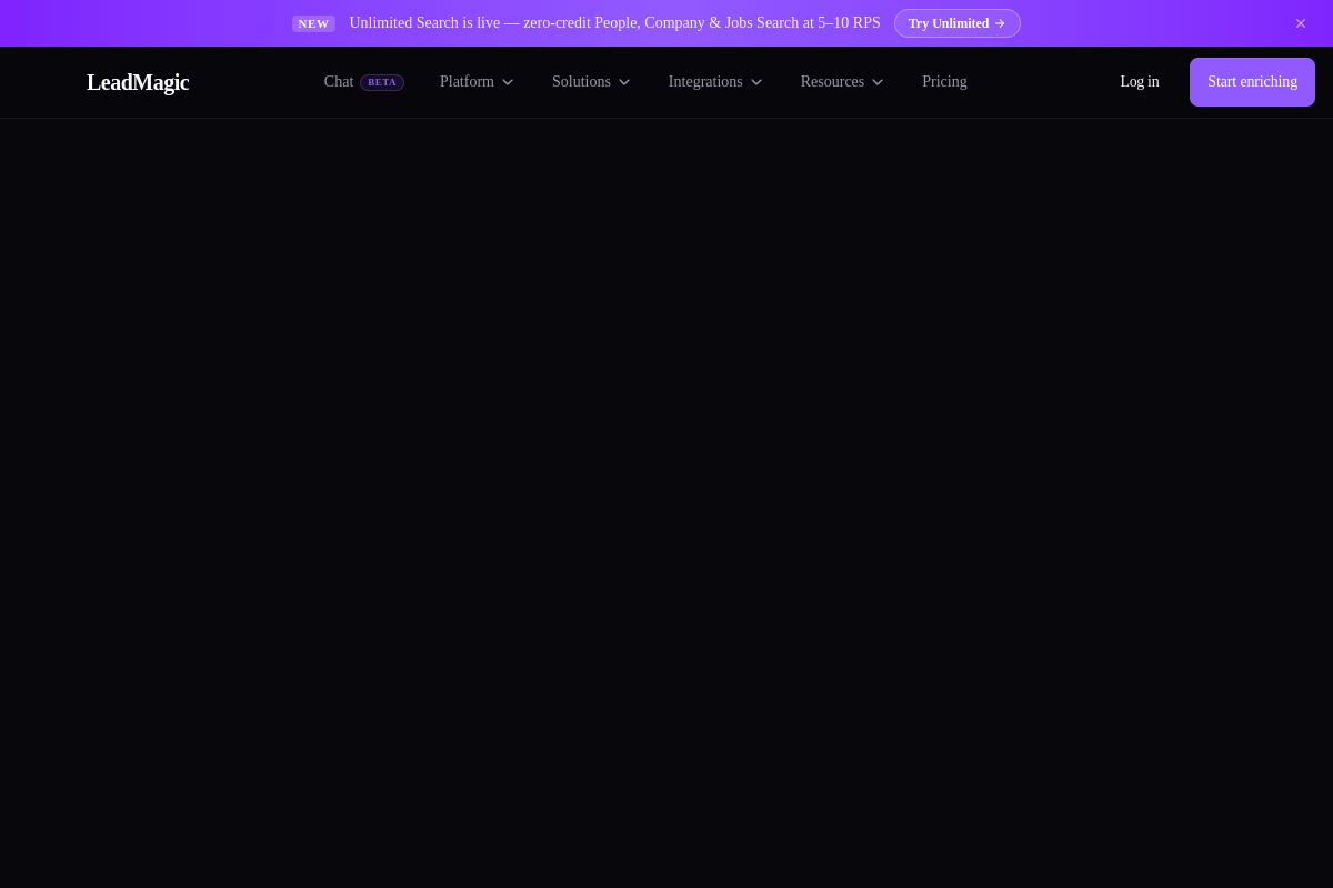 LeadMagic website screenshot 1