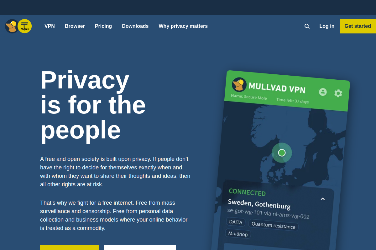 Mullvad VPN screenshot