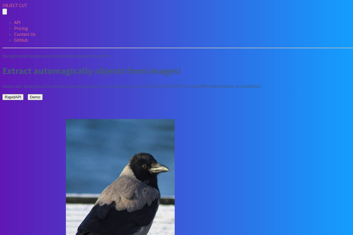 ObjectCut preview