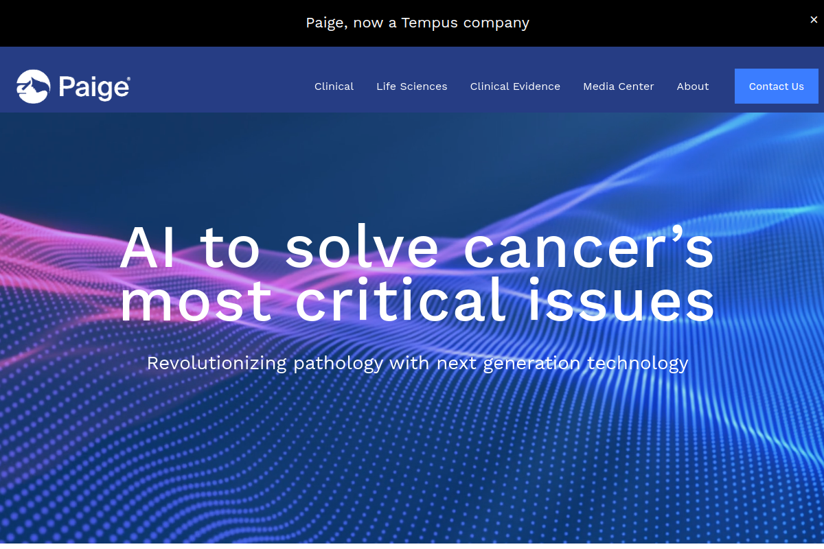 Paige.ai website screenshot 1