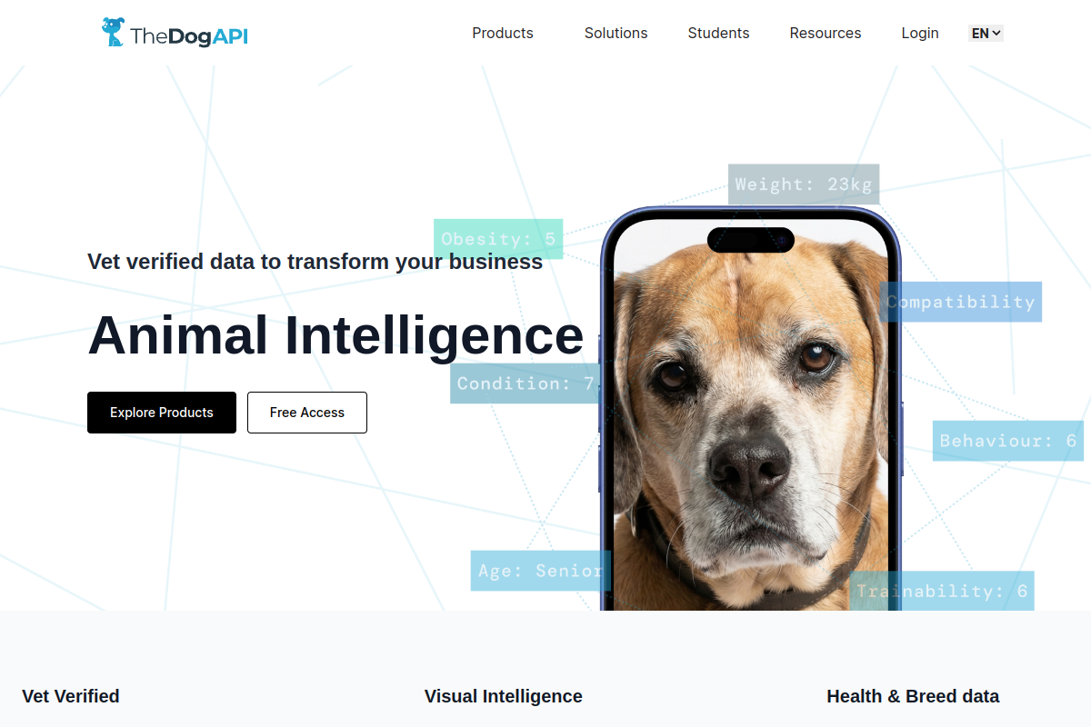 The Dog preview