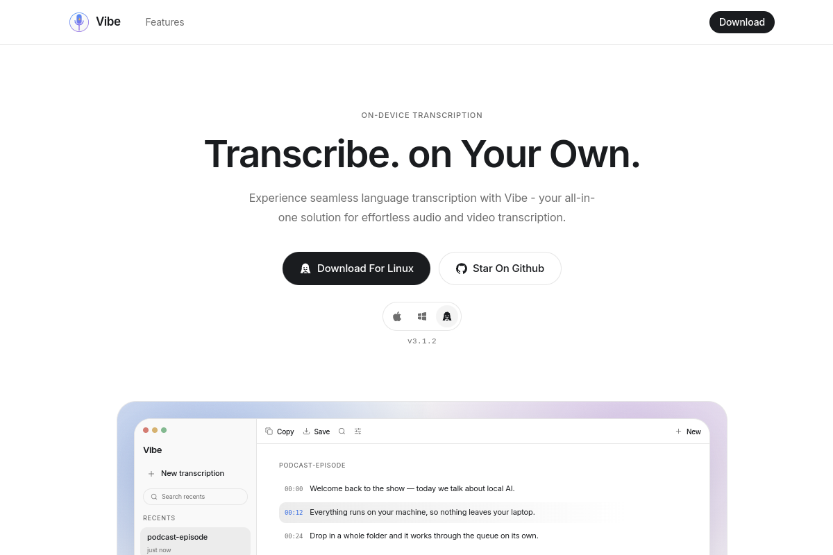 Vibe Transcribe website screenshot 1
