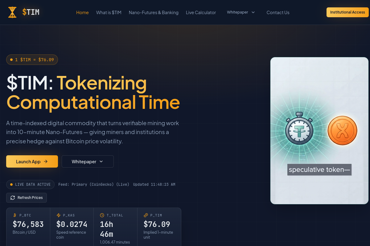 $TIM: Tokenizing Computational Time website screenshot 1