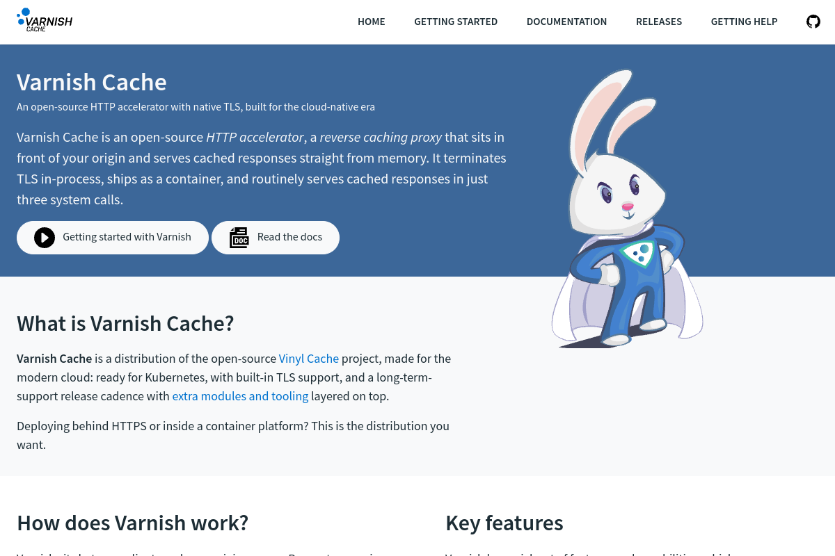 Screenshot of varnish-cache.org