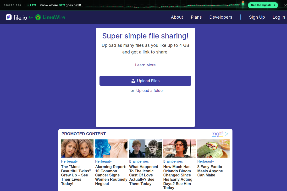 File.io preview