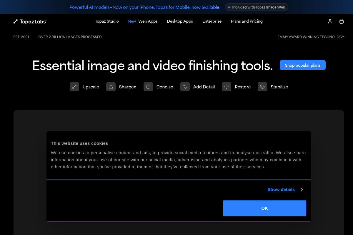 Topaz Gigapixel website screenshot 1