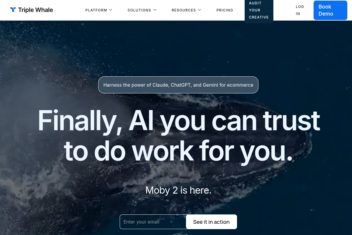 Triple Whale screenshot