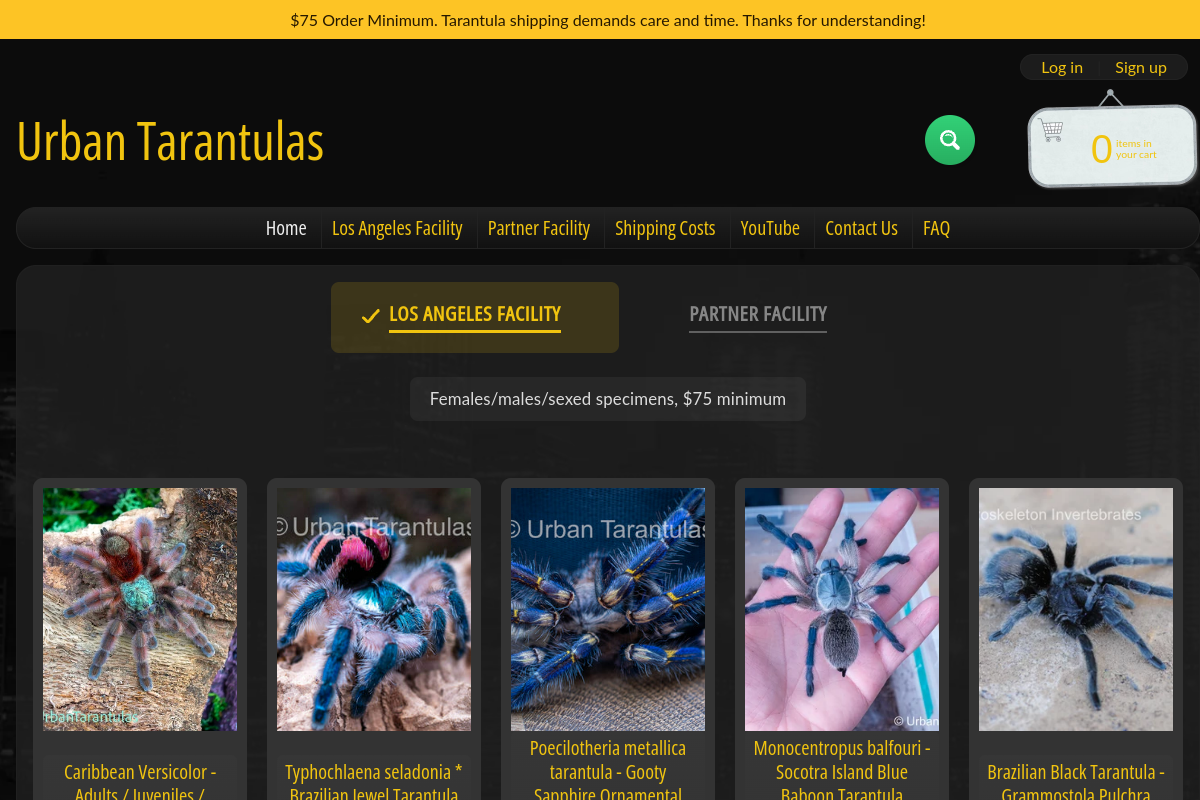 Urban Tarantulas homepage preview
