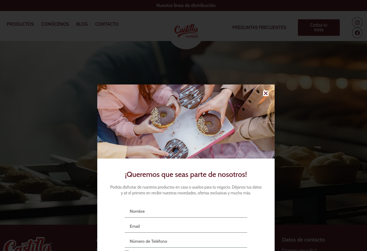 Captura del proyecto Castipan