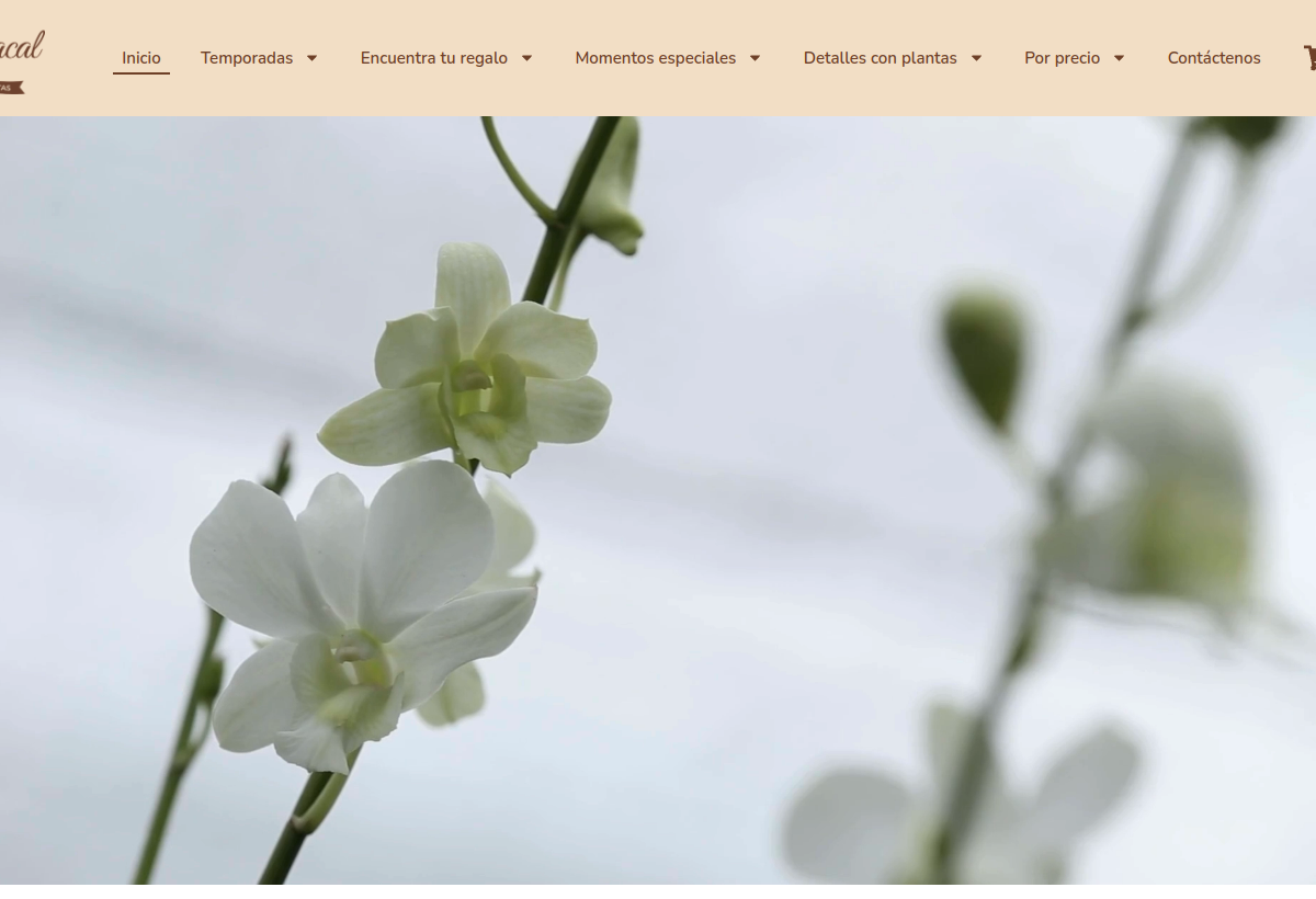Captura del proyecto El Guacal
