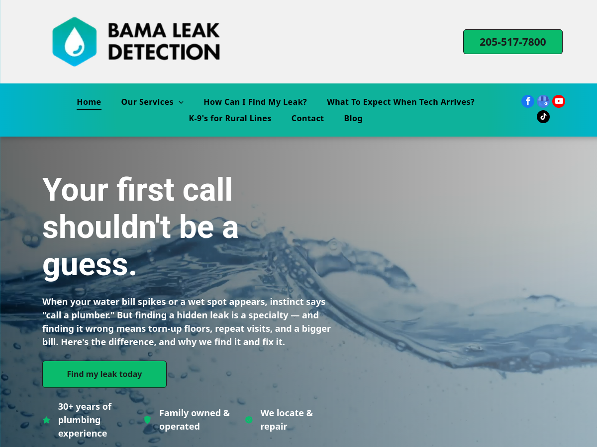 Bama Leak Detection LLC website screenshot