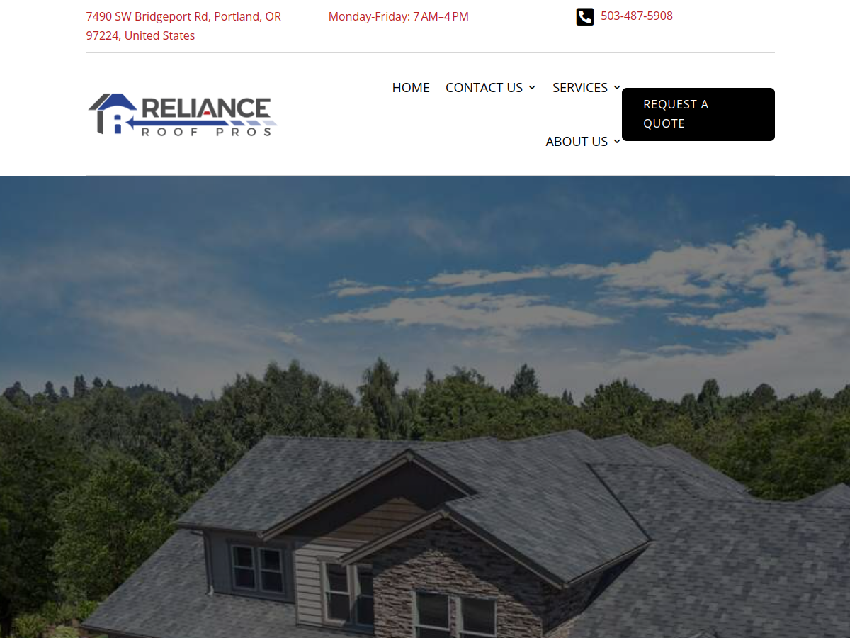 Reliance Roof Pros website screenshot