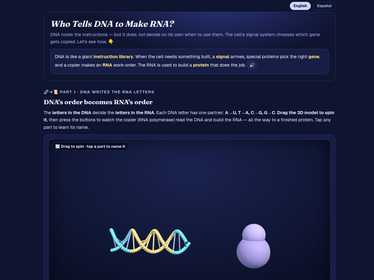 Preview of DNA → RNA Lab