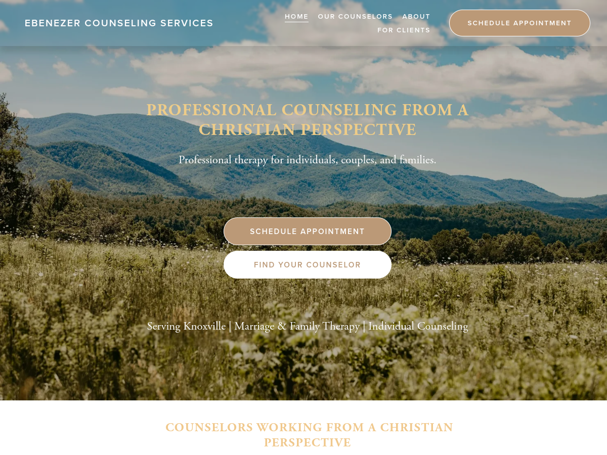 Ebenezer Counseling Services website screenshot