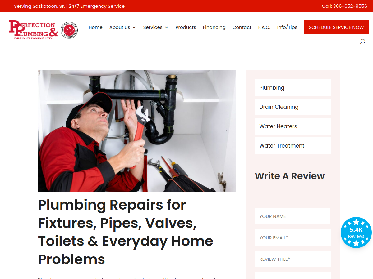 Perfection Plumbing & Drain Cleaning Ltd. website screenshot