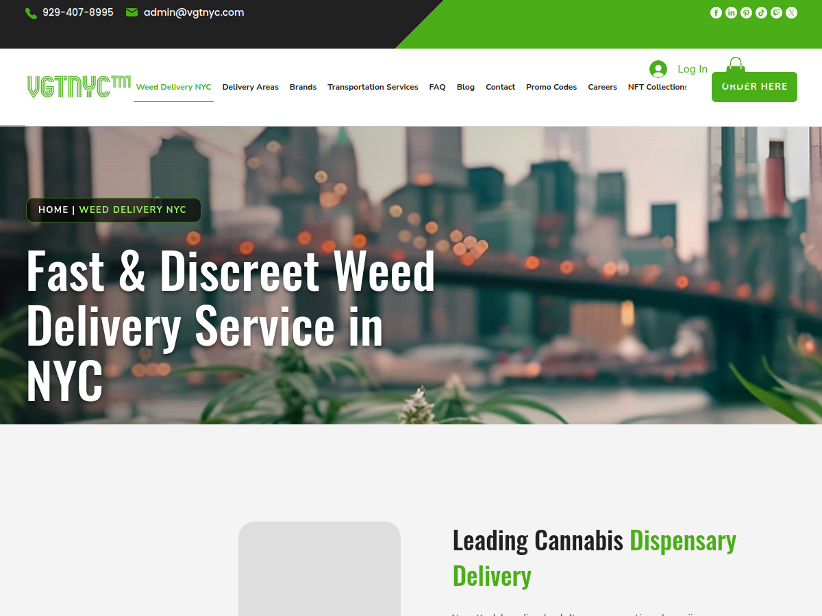 Vgtnyc website screenshot