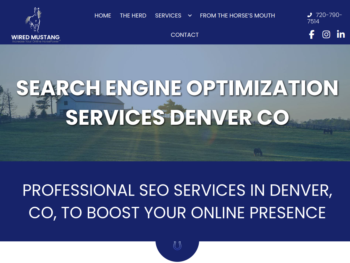 Wired Mustang Inc. website screenshot