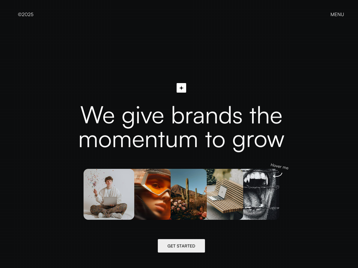 Inertia portfolio template preview