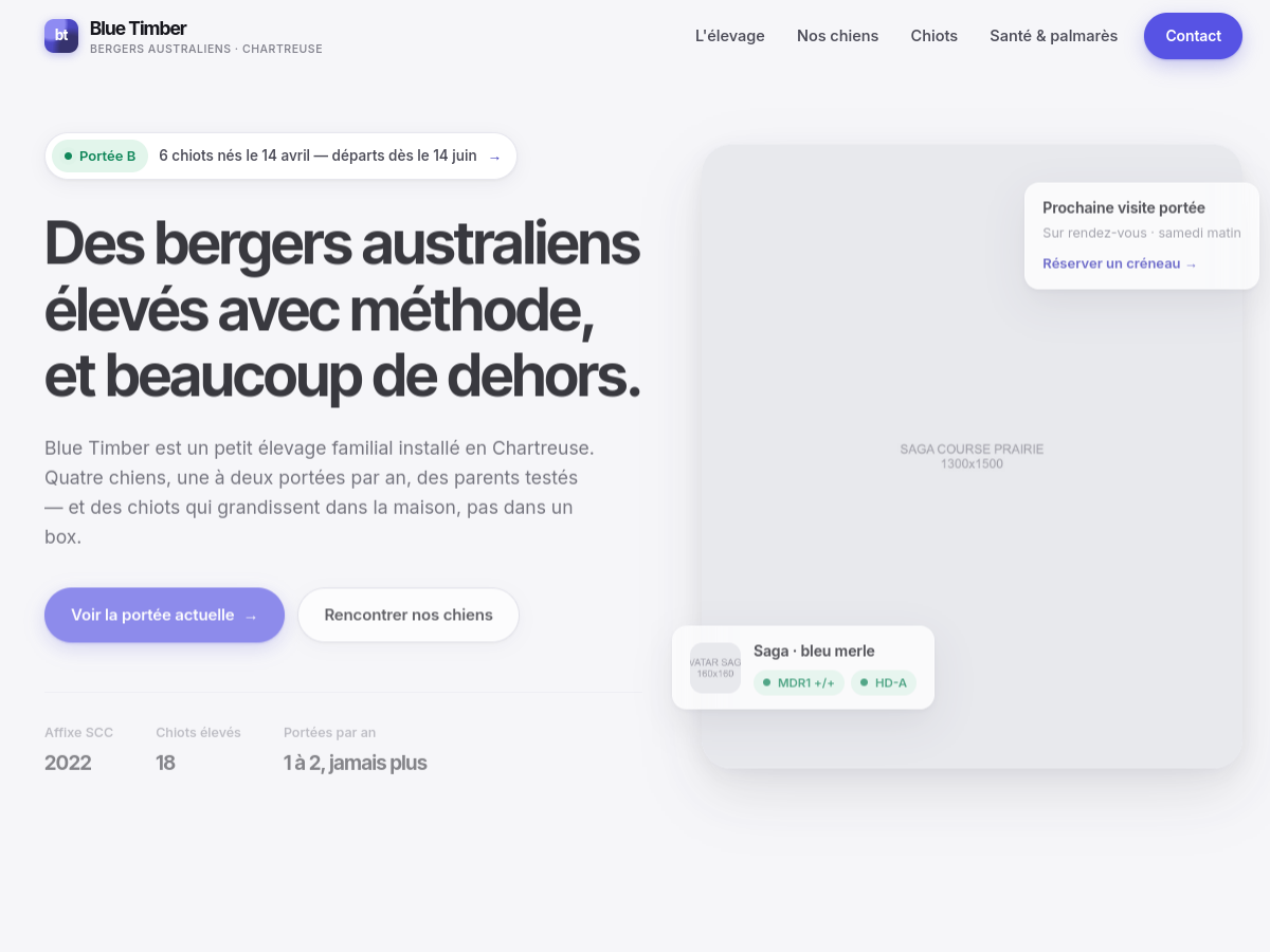 Berger Australien — Le moderne premium (proto-aussie-tinaa.pages.dev)