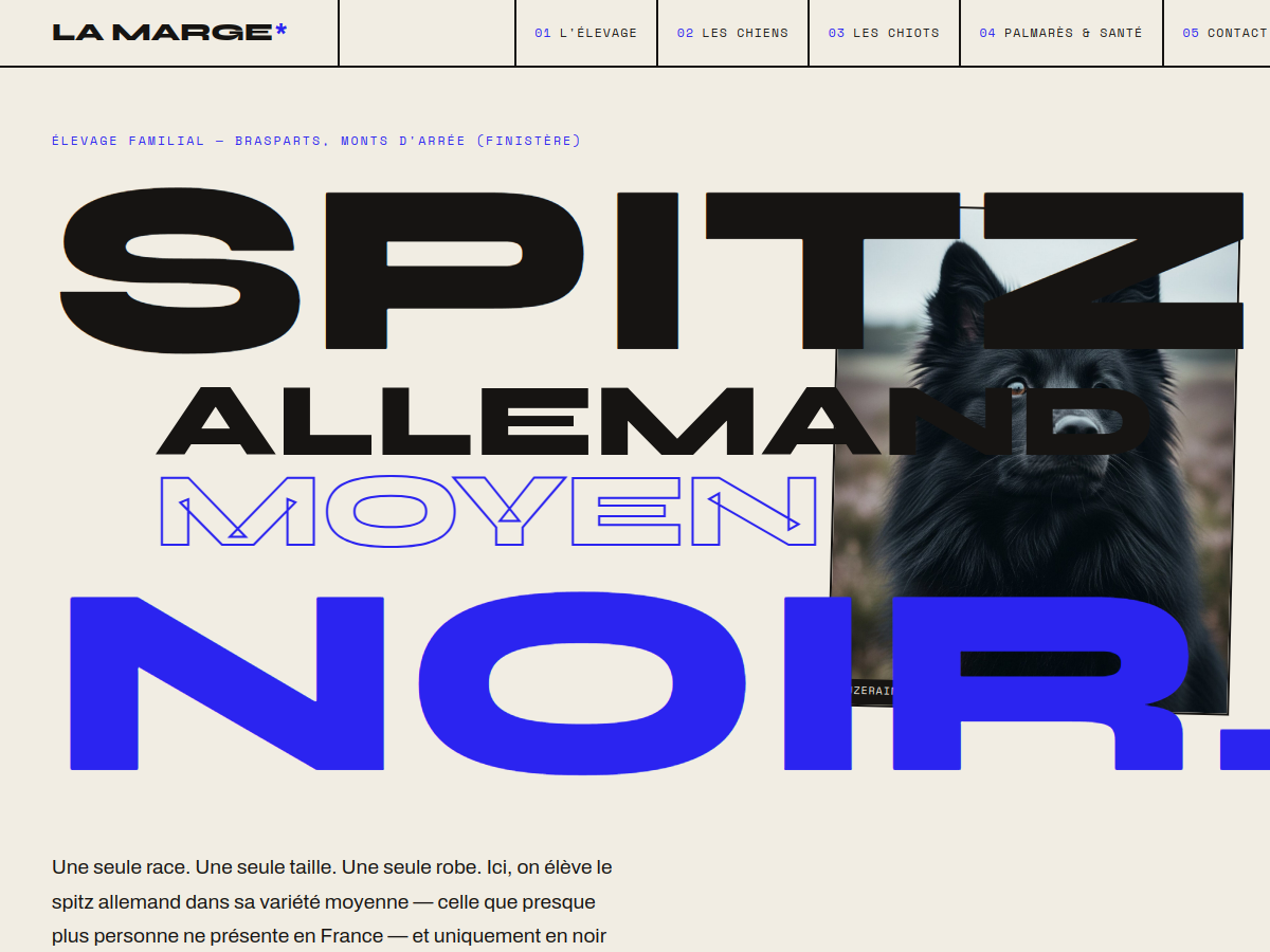 Spitz nain — Le brutaliste assumé (proto-spitz-marge.pages.dev)