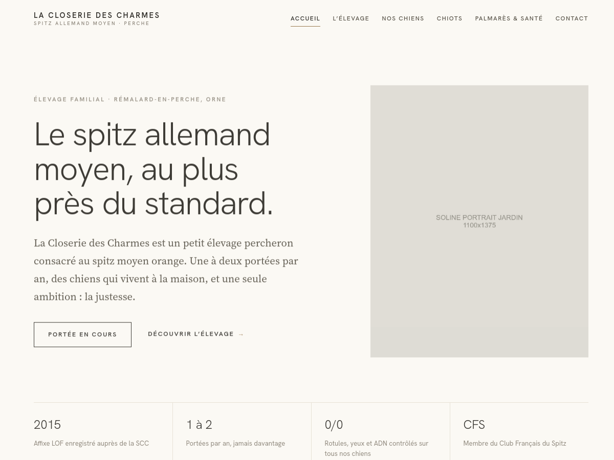 Spitz nain — Le classique lumineux (proto-spitz-standard.pages.dev)