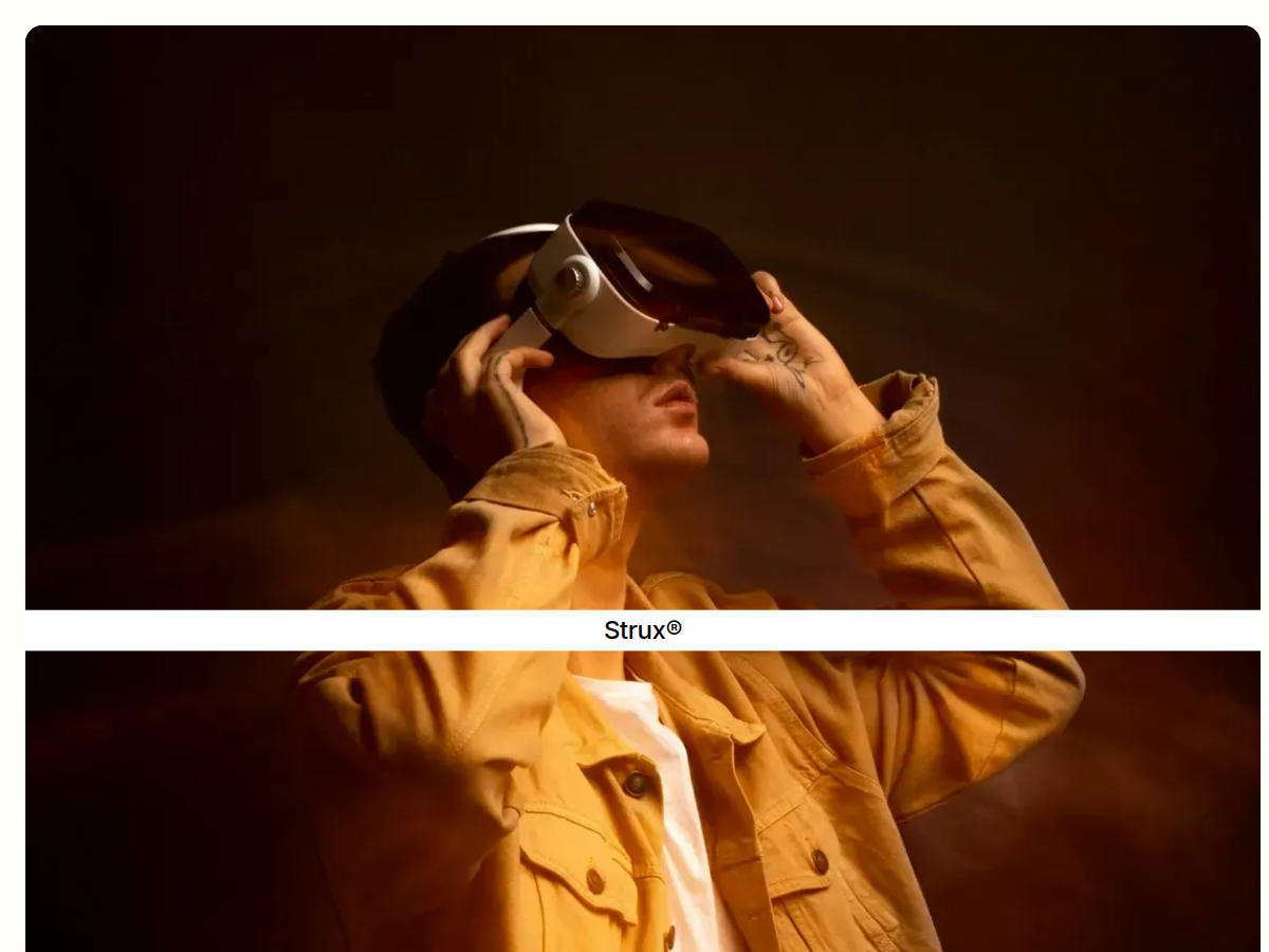 Struqx portfolio template preview
