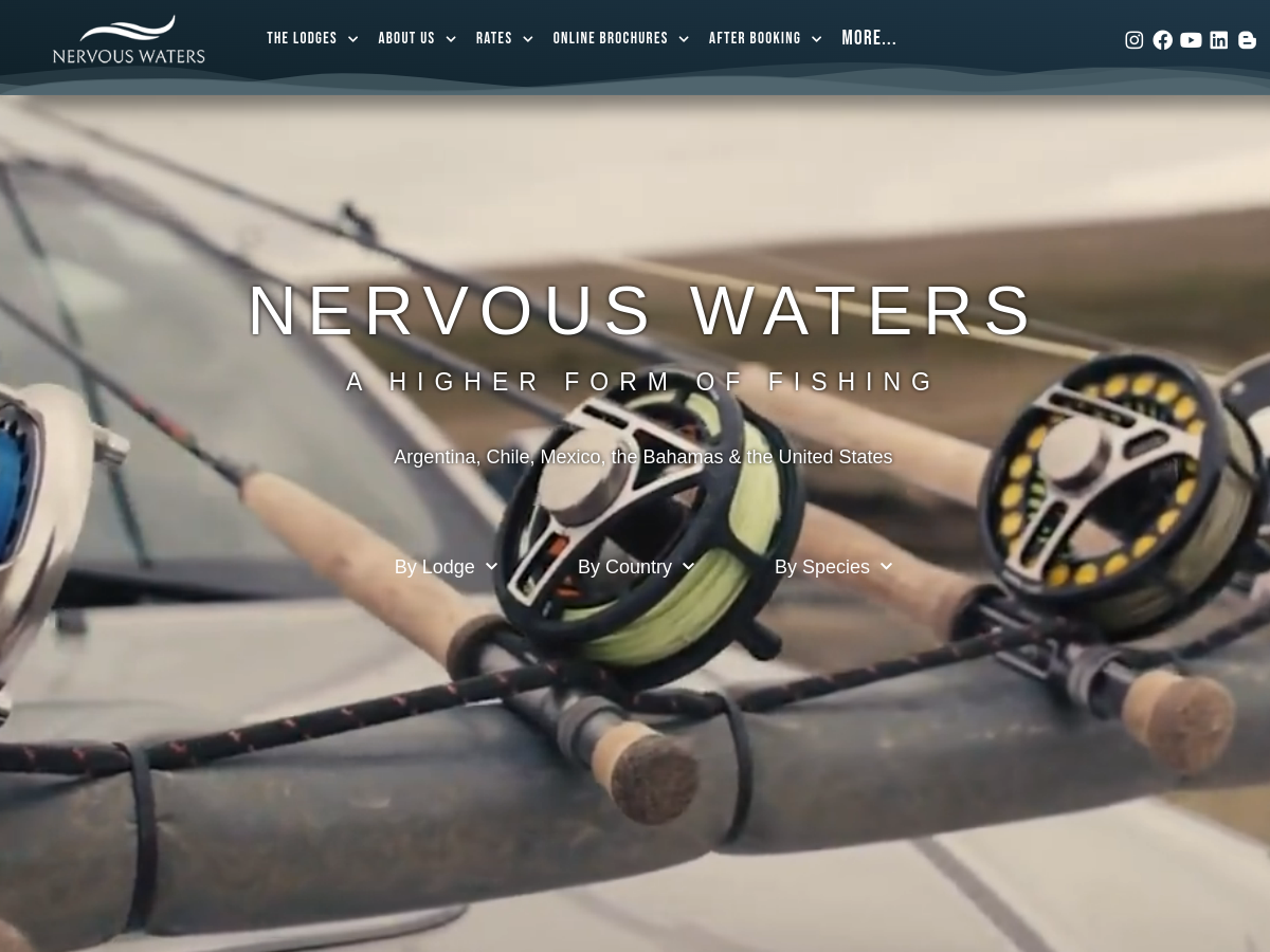Screenshot of Nervous Waters